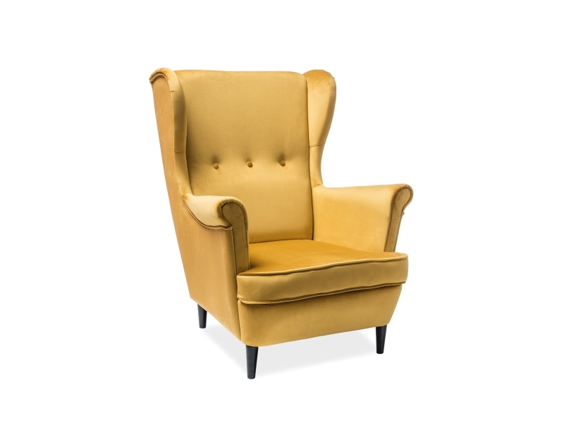 Armchair Lord Velvet