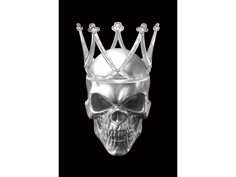 Wall art Skull II