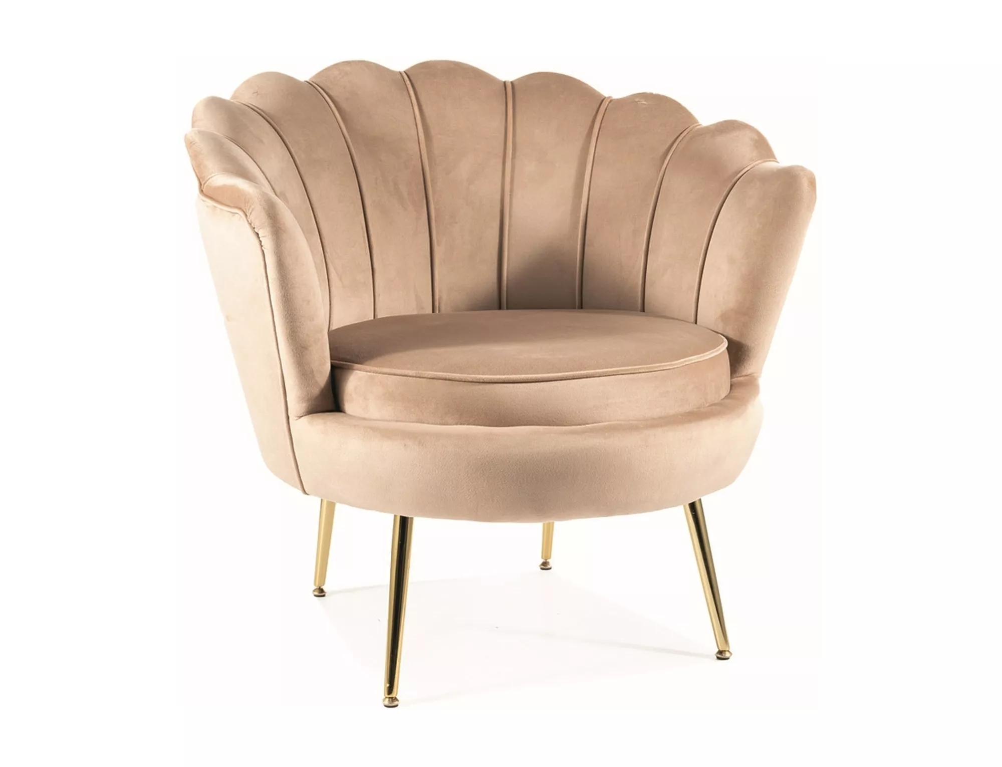 Armchair Camellia 1 Velvet