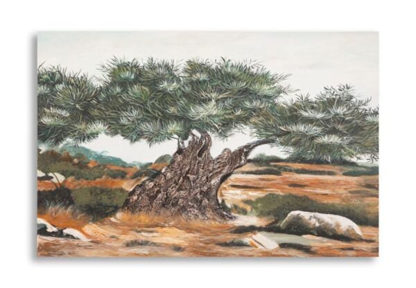 OLIVE OIL PAINTING -W- CM 120X3,8X80