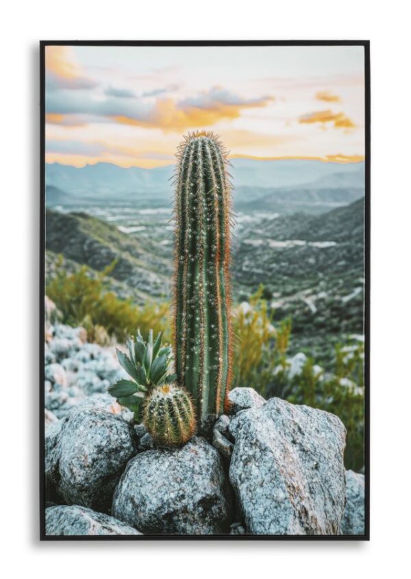 LACQUERED CANVAS PRINT WITH FRAME CACTUS -H- CM 60X4X90