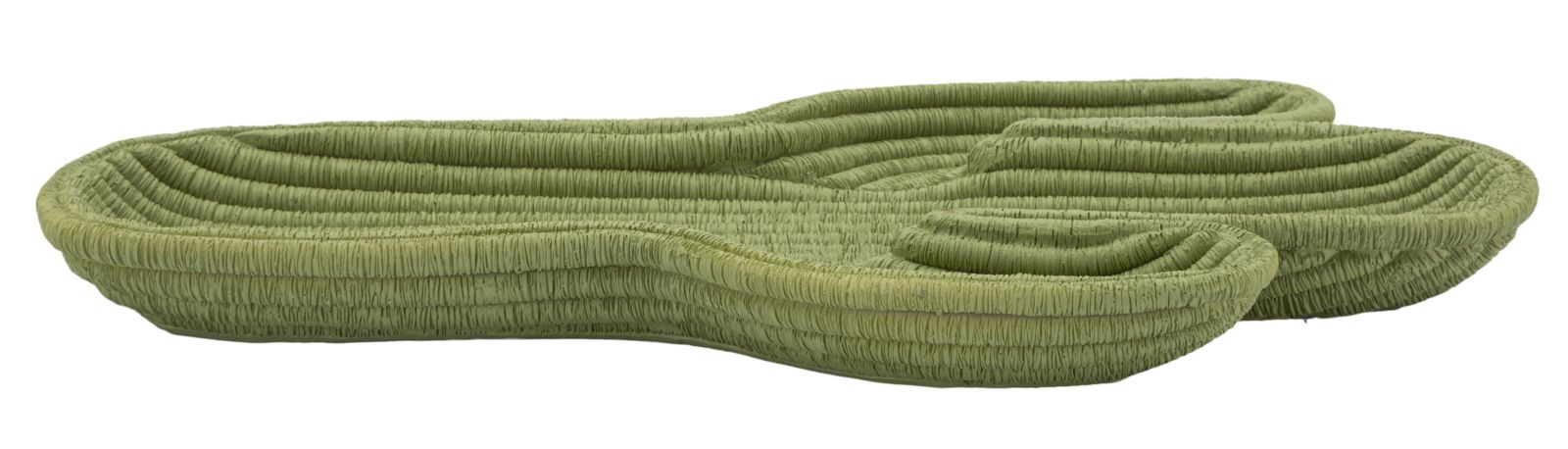 CACTUS TRAY CM 34X20X3