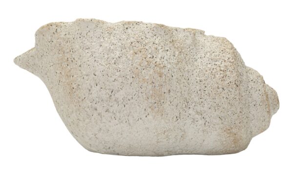 SHELL SAND VASE -B- CM 35X23X18 (HOLE CM Ø 17X14)