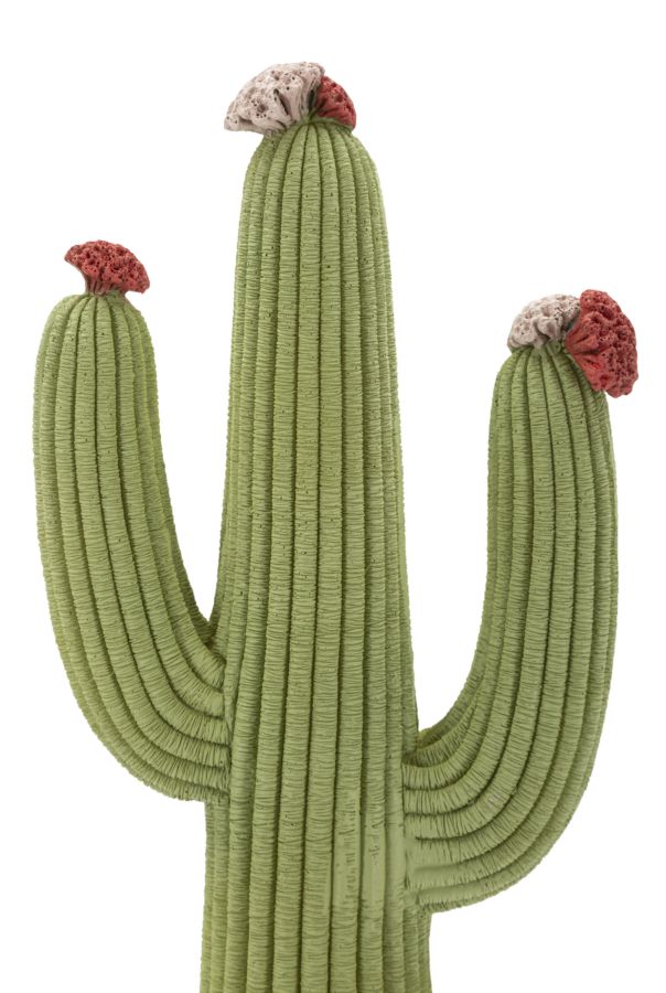 CACTUS CM 16,5X11X45 - slika 4