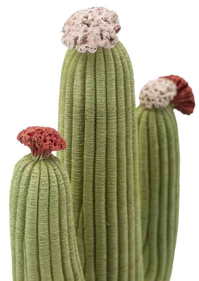 CACTUS CM 16,5X11X45 - slika 5