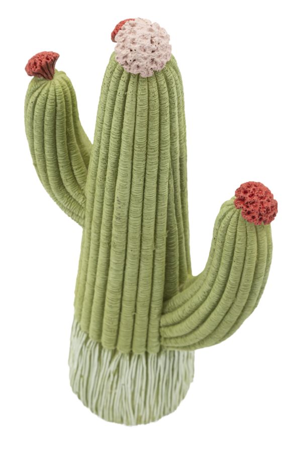 CACTUS CM 13X7X25 - slika 3