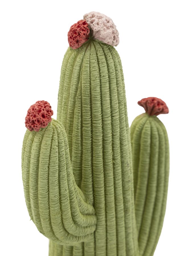 CACTUS CM 13X7X25 - slika 4