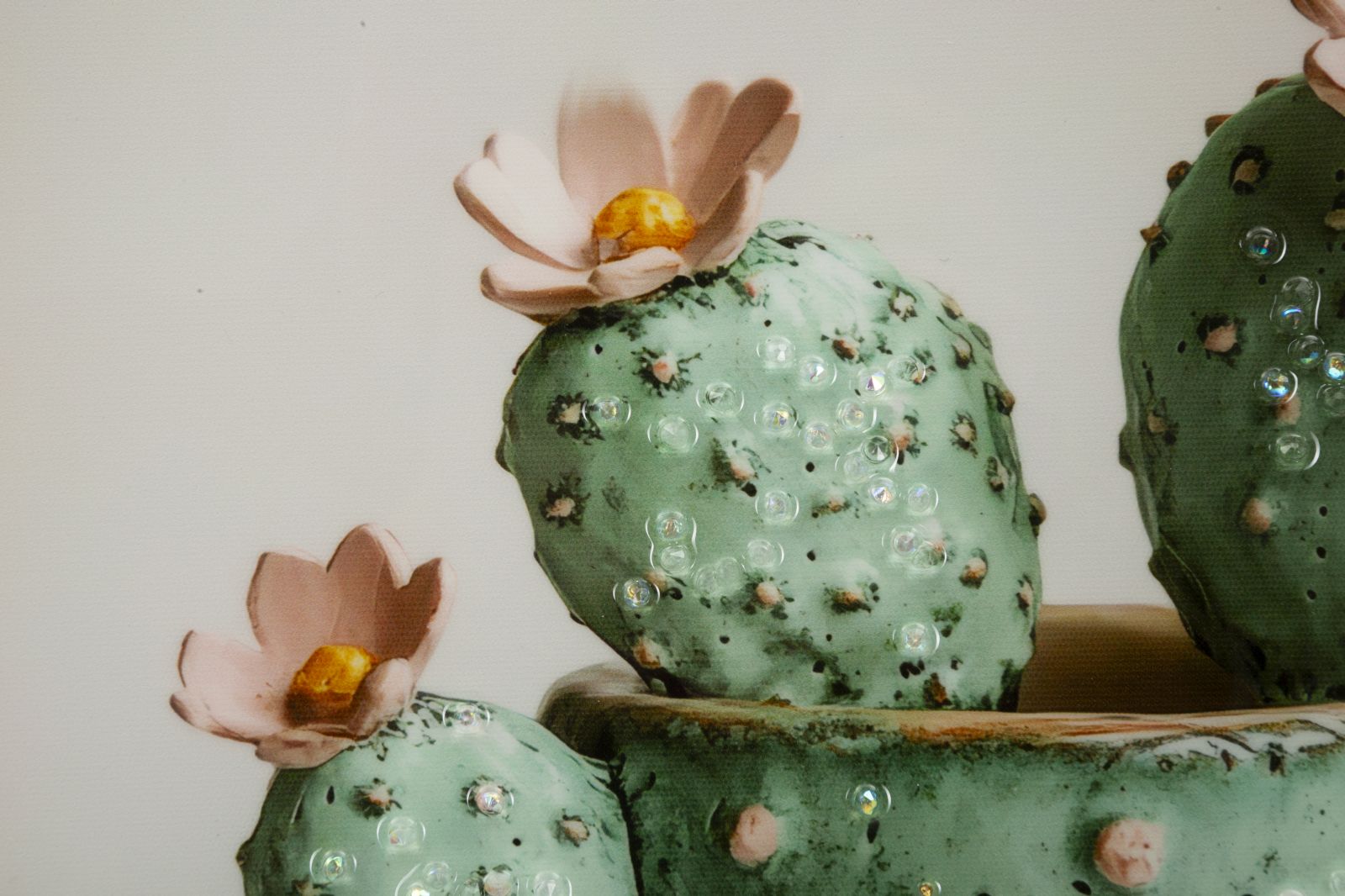LACQUERED CANVAS PRINT WITH FRAME CACTUS JAR -C- CM 40X2,8X40 - slika 3