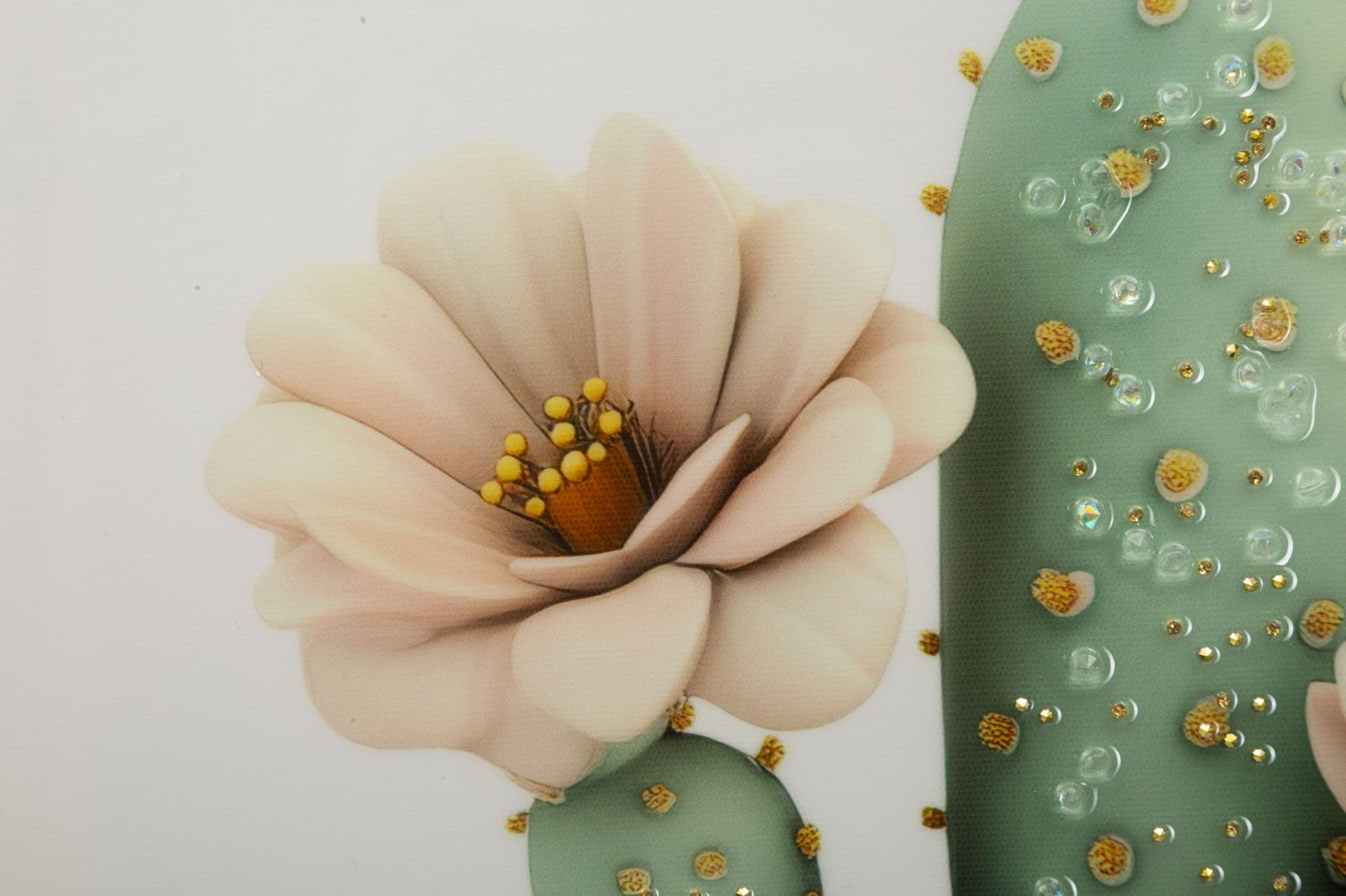 LACQUERED CANVAS PRINT WITH FRAME CACTUS JAR -D- CM 40X2,8X40 - slika 3