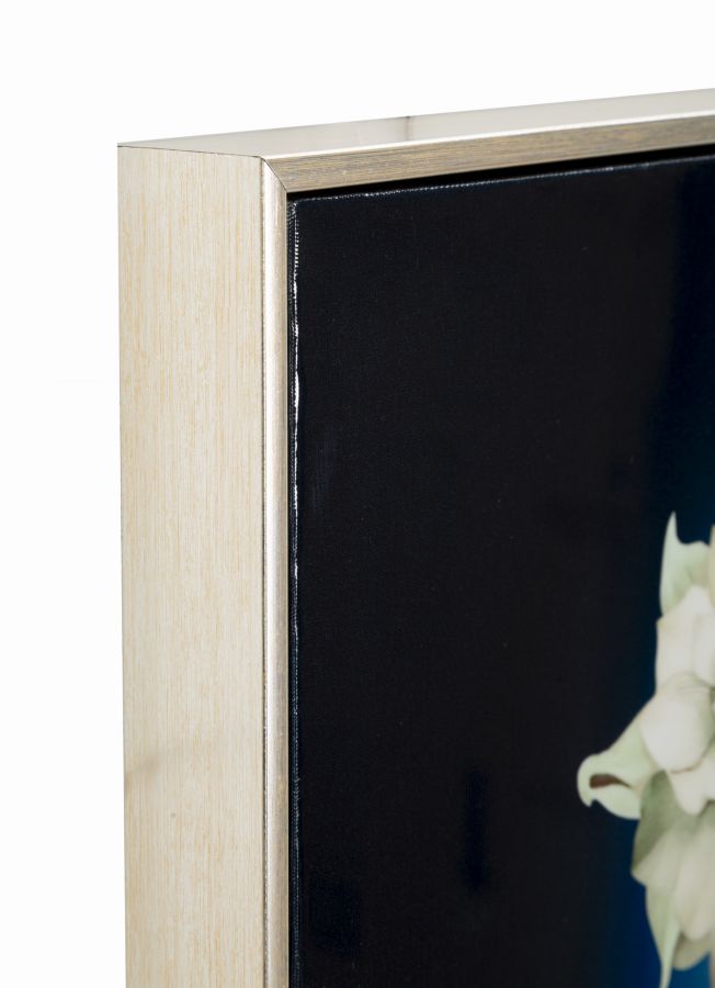 PAINTING ON CANVAS LACQUERED ISABEL WITH FRAME -B- CM 72X4X102 - slika 3