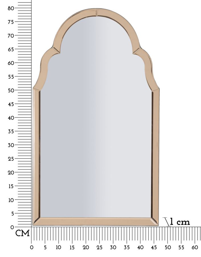 TANGIER WALL MIRROR PINK CM 47X1X80 ( INSIDE MIRROR SIZE CM 41X74) - slika 6