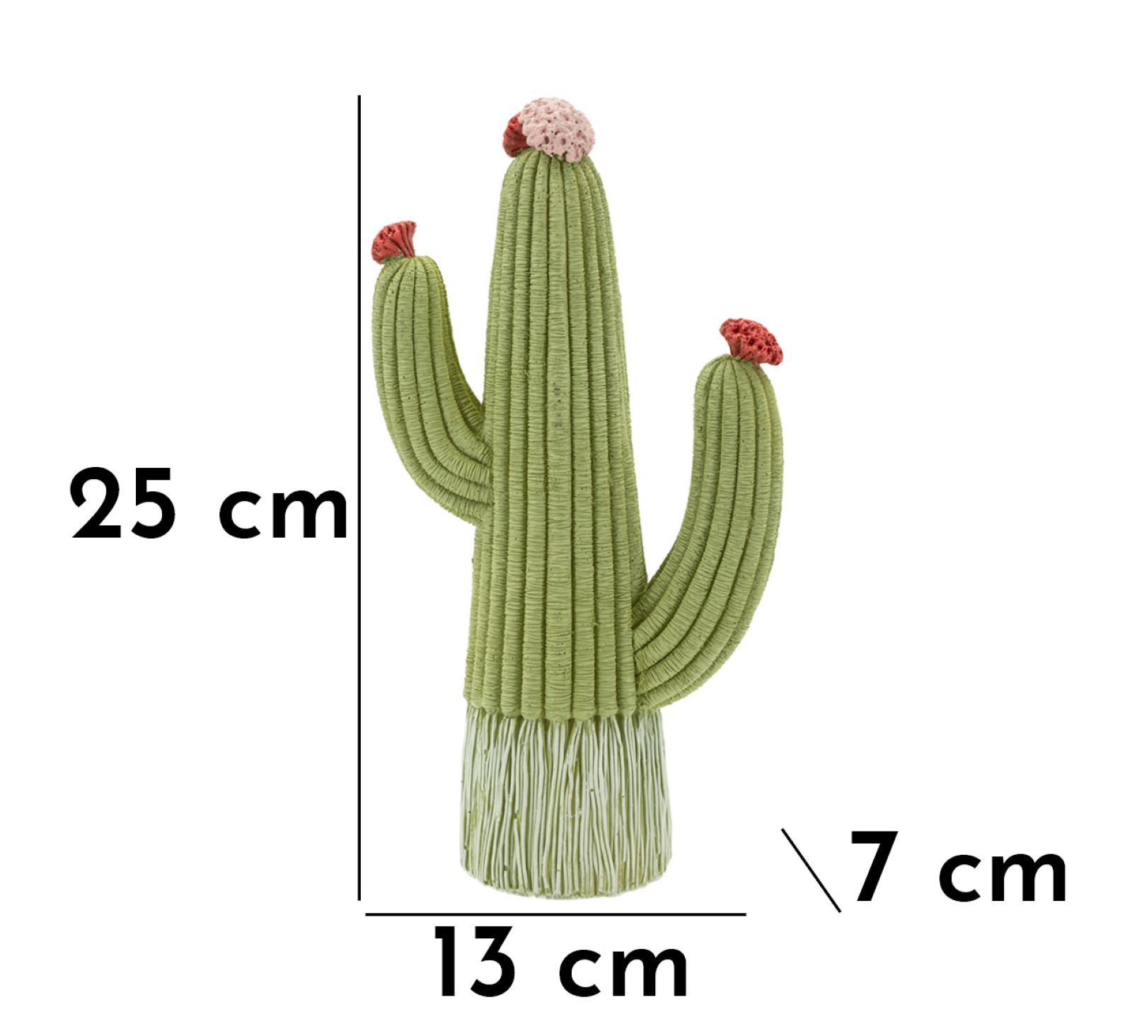 CACTUS CM 13X7X25 - slika 7