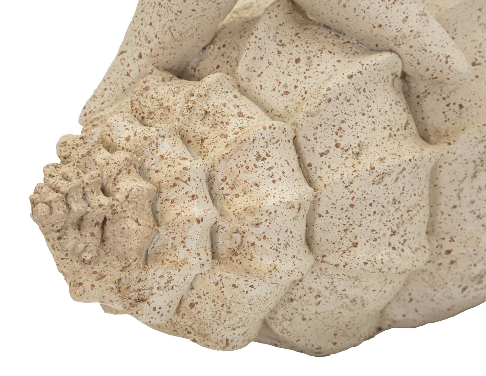 STAR FISH SAND CM 18X13X21,2 - slika 5