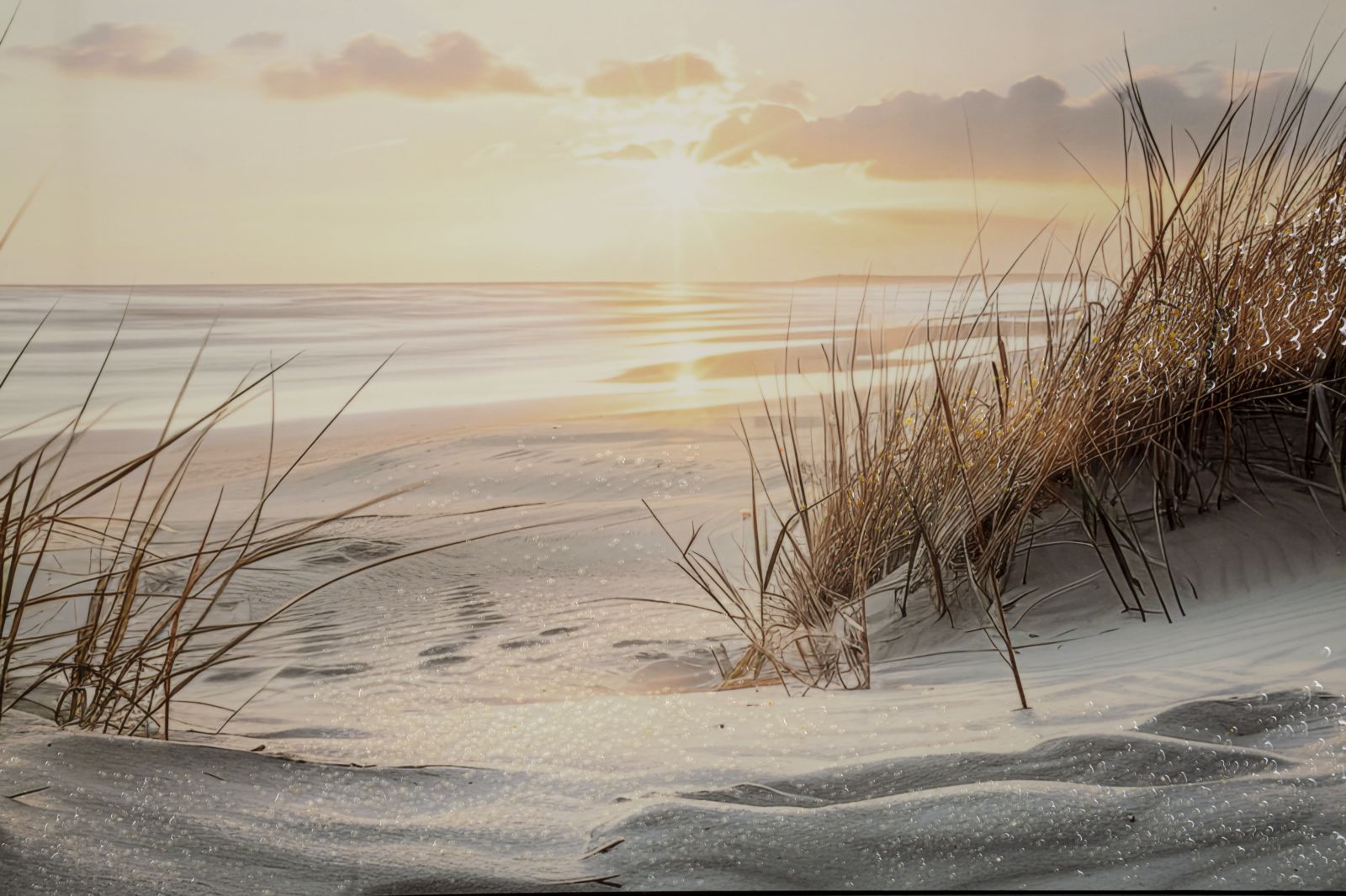 PRINTING ON CANVAS BEACH LAQUARED WITH FRAME -A- CM 152X4X52 - slika 3