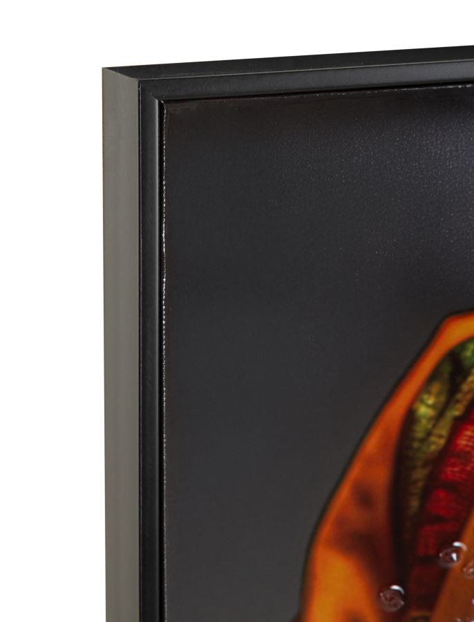 PRINTING ON CANVAS MAYA LAQUARED WITH FRAME CM 60X4X120 - slika 4