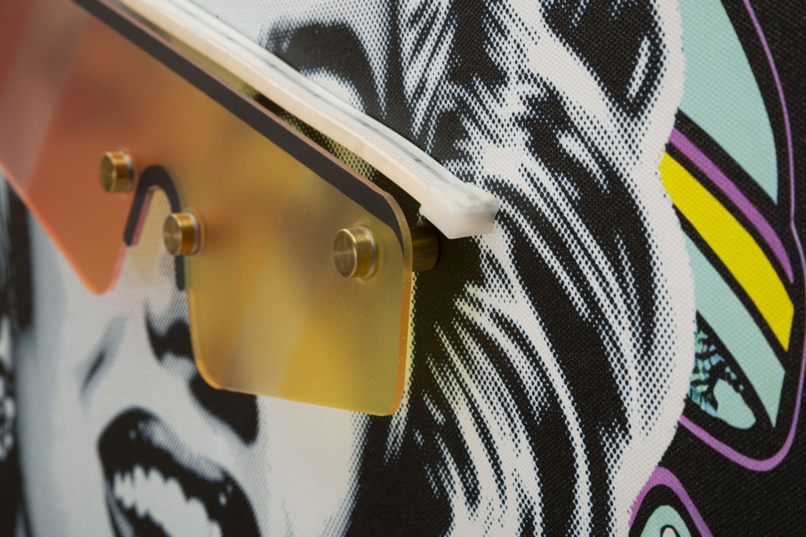 PRINTING ON CANVAS WITH LED MARILIN CM 60X3,5X90 (3D ACRILIC APPLICATION) - slika 4