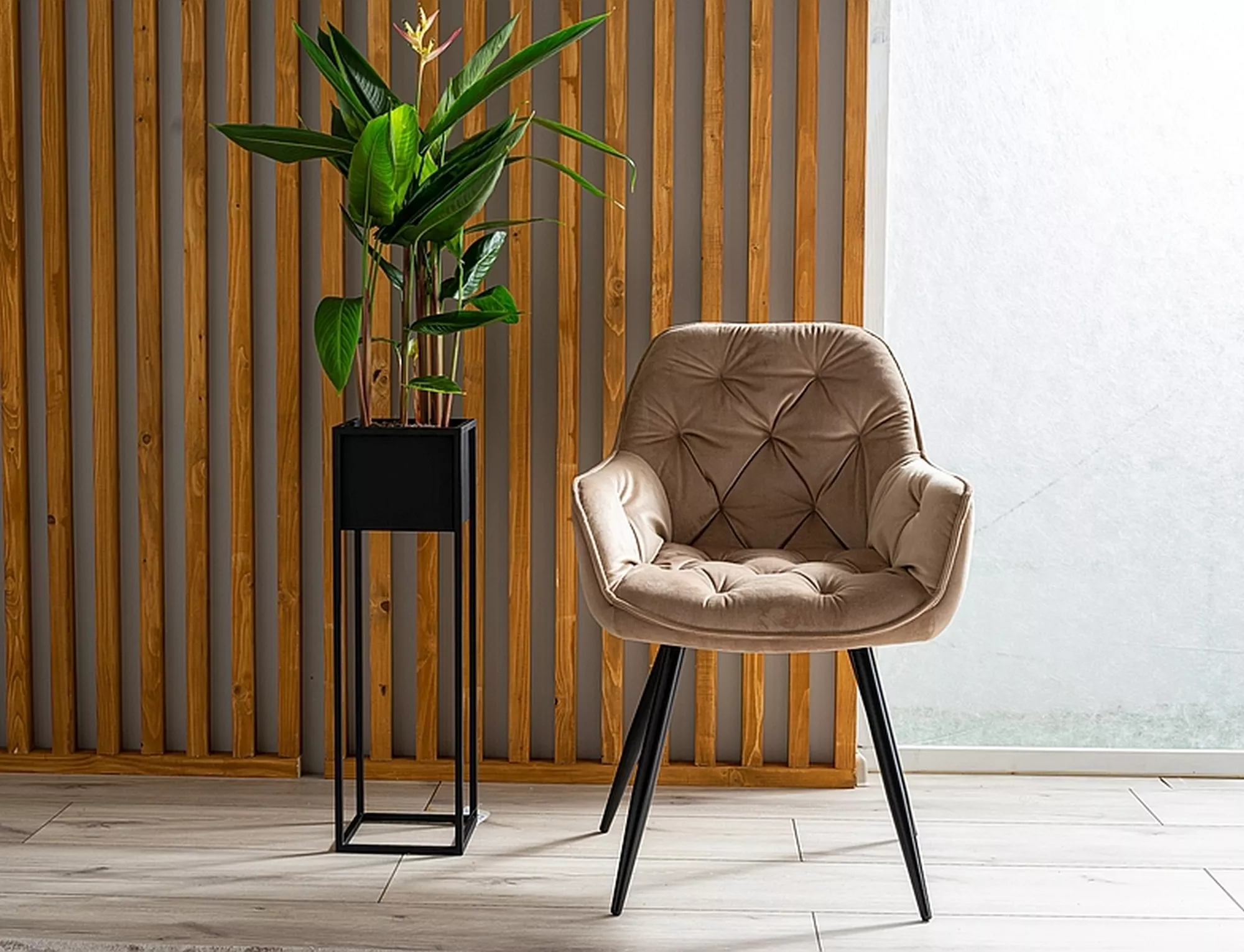Chair Cherry Velvet - slika 9